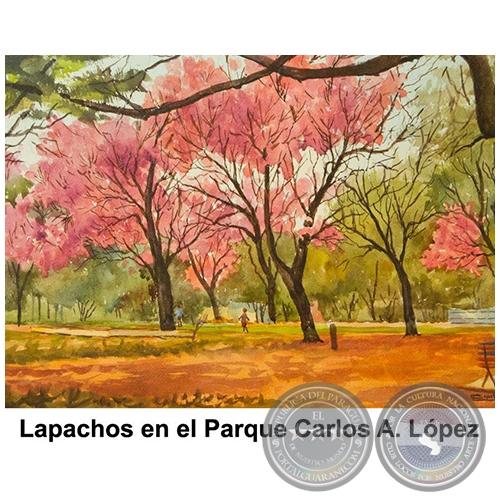 Lapachos en el Parque Carlos A. Lpez - Obra de Emili Aparici